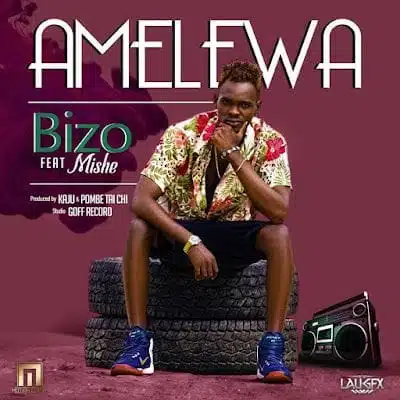 VIDEO: Bizo Man Ft. Toto Boy - Amelewa (Mp4 Download)