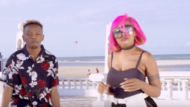 VIDEO: Amber Lulu Ft. Marioo - Yanamiminika (Mp4 Download) - KibaBoy