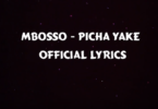 Lyrics VIDEO: Mbosso - Picha Yake (Mp4 Download) - KibaBoy