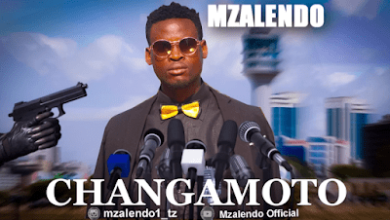 Audio: Mzalendo – Changamoto (Mp3 Download) - KibaBoy