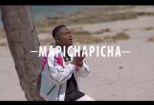 VIDEO: Nino Tz - Mapicha Picha (Mp4 Download) - KibaBoy