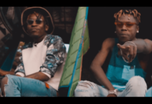 VIDEO: Tony Cousin Ft. Country Wizzy - Pale Pale (Mp4 Download) - KibaBoy