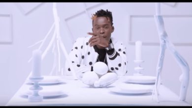 VIDEO: Willy Paul Ft. Alaine - I DO (Mp4 Download) - KibaBoy