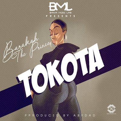 Audio: Baraka The Prince – Tokota (Mp3 Download) - KibaBoy