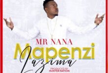 Audio: Mr Nana – Mapenzi Lazima (Mp3 Download) - KibaBoy