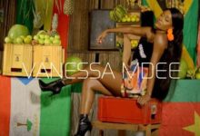 VIDEO: Vanessa Mdee Ft. Reekado Banks - Bambino (Mp4 Download) - KibaBoy