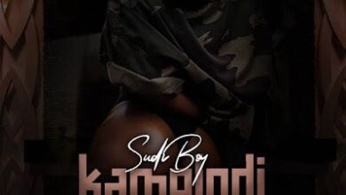 Audio: Sudi Boy – Kamelodi (Mp3 Download) - KibaBoy