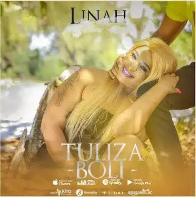 Audio: Linah - Tuliza Boli (Mp3 Download)