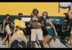 VIDEO: Selekta Davizo Ft. Baraka The Prince - Sukuma (Mp4 Download) - KibaBoy