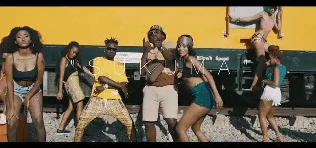 VIDEO: Selekta Davizo Ft. Baraka The Prince - Sukuma (Mp4 Download)