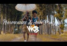 VIDEO: Jah Prayzah Ft. Harmonize - Ndoenda (Mp4 Download) - KibaBoy