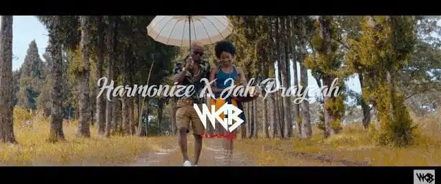 VIDEO: Jah Prayzah Ft. Harmonize - Ndoenda (Mp4 Download)