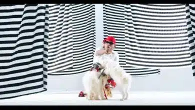 VIDEO: Bino X Ibrah Nation - Baby (Mp4 Download)