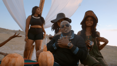 VIDEO: Nonini Ft. Chege - Bye Bye (Mp4 Download) - KibaBoy