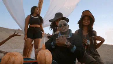 VIDEO: Nonini Ft. Chege - Bye Bye (Mp4 Download)