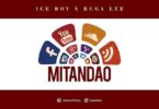 Audio: Ice Boy Ft. Bugalee – Mitandao (Mp3 Download) - KibaBoy