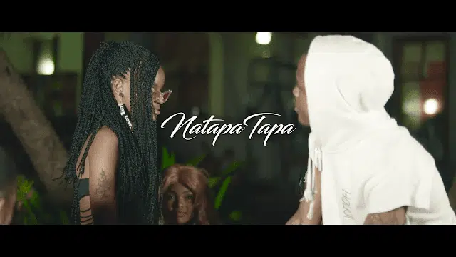 VIDEO: Nuh Mziwanda - Natapatapa (Mp4 Download)