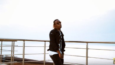 VIDEO: Willy Paul - Harambee (Mp4 Download) - KibaBoy