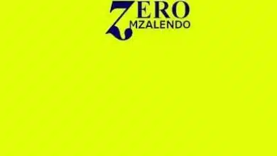 Audio: Mzalendo – Zero (Mp3 Download)