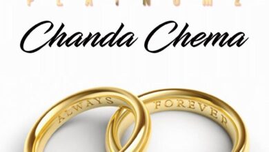 Audio: Diamond Platnumz - Chanda Chema (Mp3 Download) - KibaBoy