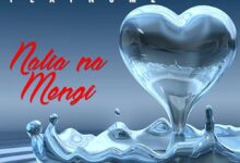 Audio: Diamond Platnumz Ft. Chidi Beenz - Nalia Na Mengi (Mp3 Download) - KibaBoy