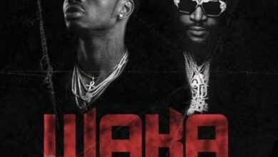 Audio: Diamond Platnumz Ft. Rick Ross - Waka (Mp3 Download) - KibaBoy