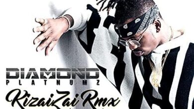 Audio: Diamond Platnumz - Kizaizai Remix (Mp3 Download) - KibaBoy