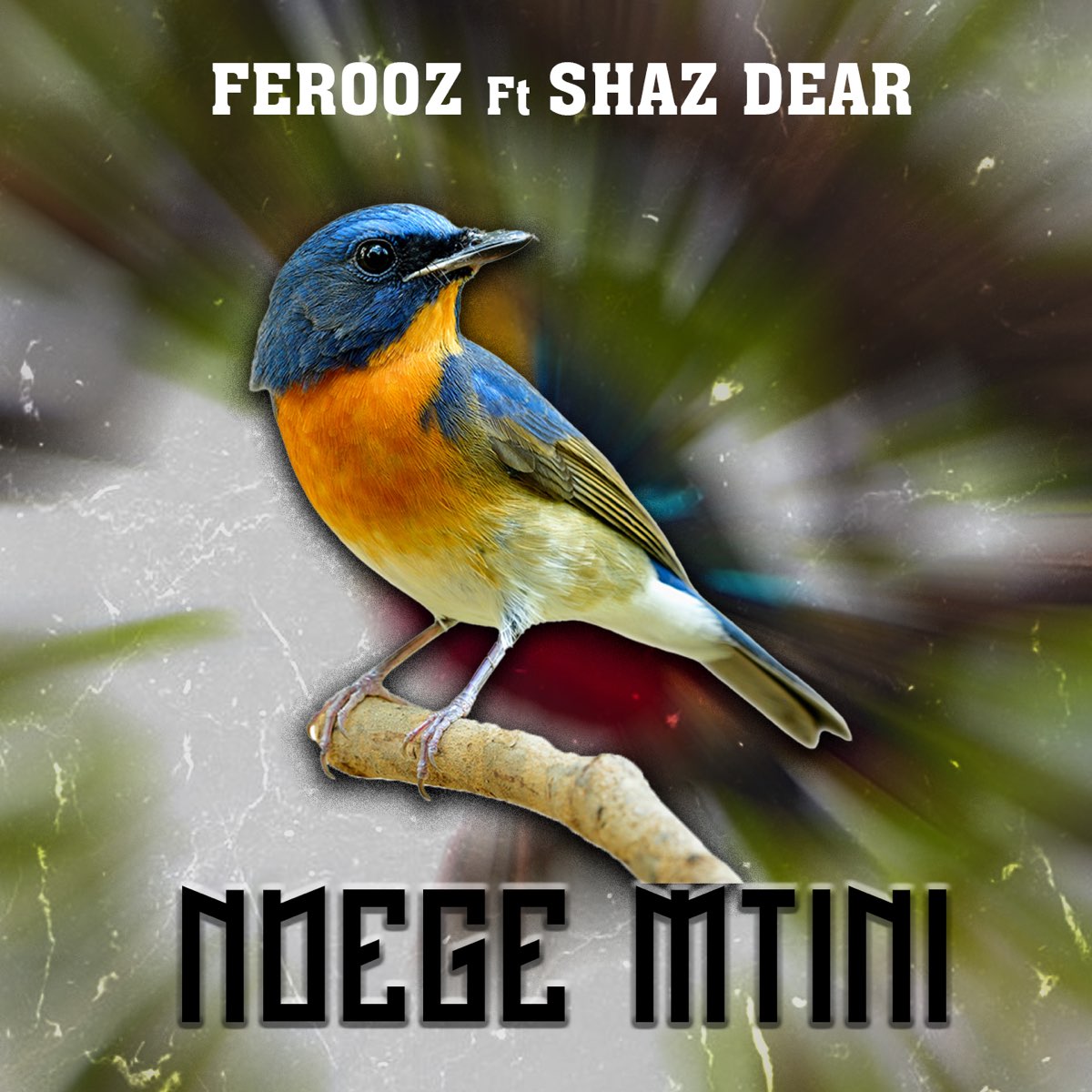 Audio: Ferooz Ft. Shaz Dear - Ndege Mtini (Mp3 Download) - KibaBoy