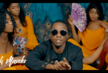 VIDEO: Fid Q Ft. Isha Mashauzi, Rich Mavoko, Big Jahman - BAM BAM (Mp4 Download) - KibaBoy