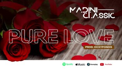 Madini Classic Ft. Gilad - Pure Love