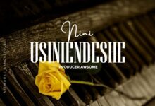 Audio: Nini – Usiniendeshe (Mp3 Download) - KibaBoy