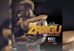 Audio: Saynag Ft Diamond Platnumz - Hisia Zangu (Mp3 Download) - KibaBoy