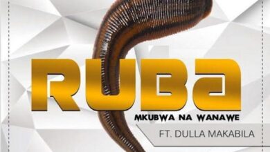 Audio: Yamoto Band Ft. Dulla Makabila - Ruba (Mp3 Download) - Kibaboy