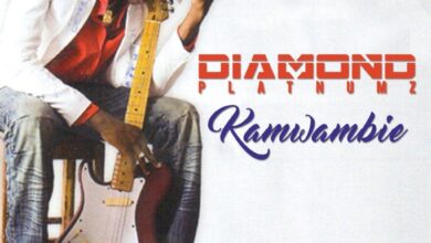 Audio: Diamond Platnumz - Kamwambie (Mp3 Download) - KibaBoy