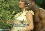 Audio: Diamond Platnumz - Mdogo Mdogo (Mp3 Download) - KibaBoy