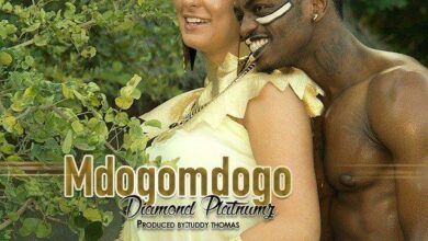 Audio: Diamond Platnumz - Mdogo Mdogo (Mp3 Download) - KibaBoy