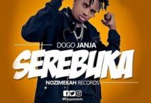 Audio: Dogo Janja Ft. Jambo Squad - Serebuka (Mp3 Download) - KibaBoy