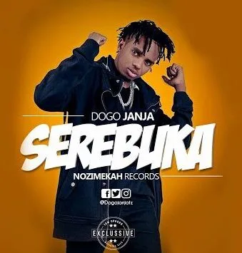Audio: Dogo Janja Ft. Jambo Squad - Serebuka (Mp3 Download)