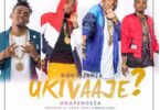 Audio: Dogo Janja - Ukivaaje Unapendeza (Mp3 Download) - KibaBoy