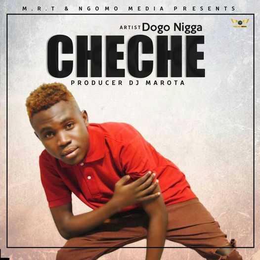 Audio: Dogo Nigga – Cheche (Mp3 Download) - KibaBoy