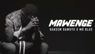 VIDEO: Hakeem Bamuyu Ft. Mr Blue - Mawenge (Mp4 Download)