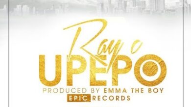 Audio: Ray C - Upepo Cover (Mp3 Download) - KibaBoy