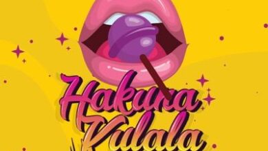 Audio: Brown Mauzo Ft. Naiboi – Hakuna Kulala (Mp3 Download) - KibaBoy