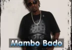 Audio: Chege Ft. Lady JayDee - Mambo Bado (Mp3 Download) - KibaBoy