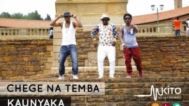 Audio: Chege Ft. Mh Temba & Dj Mapholisa - Kaunyaka (Mp3 Download) - KibaBoy