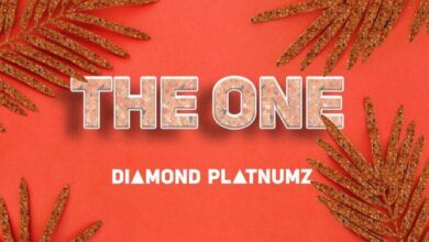 Audio: Diamond Platnumz - The One (Mp3 Download) - KibaBoy