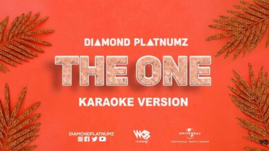 Audio: Diamond Platnumz - The One Karaoke Version (Mp3 Download) - KibaBoy