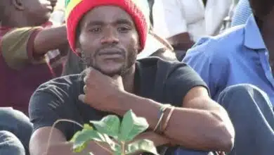 Audio: Twenty Percent (20%) - Bushoke - Binti Kimanzi Remix (Mp3 Download)