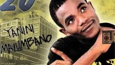 Audio: Twenty Percent (20%) - Nia Yao Hao (Mp3 Download)