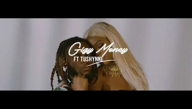 VIDEO: Gigy Money Ft. Tushynne - Changanya (Mp4 Download)